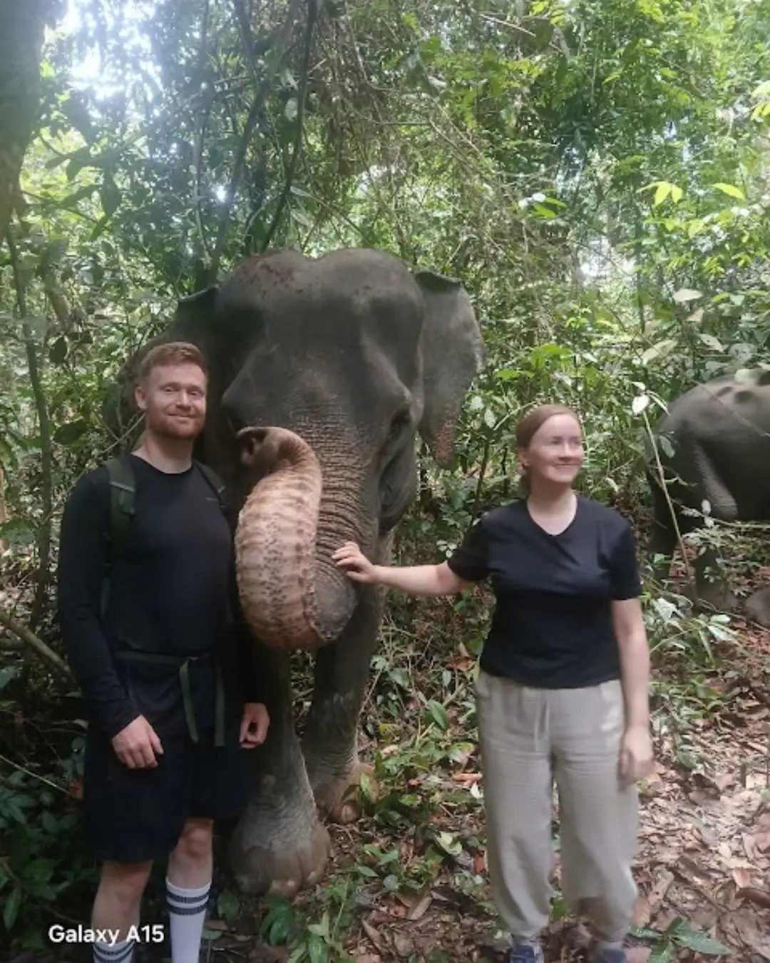 Ethical elephant tour and washing experience in Tangkahan North Sumatra